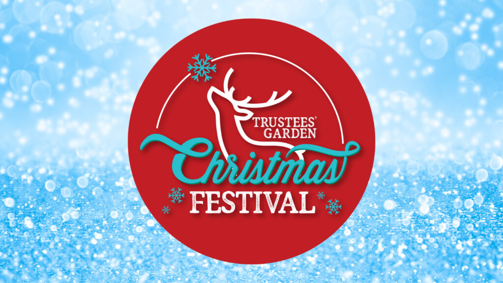 Christmas Festival Event Header 2023